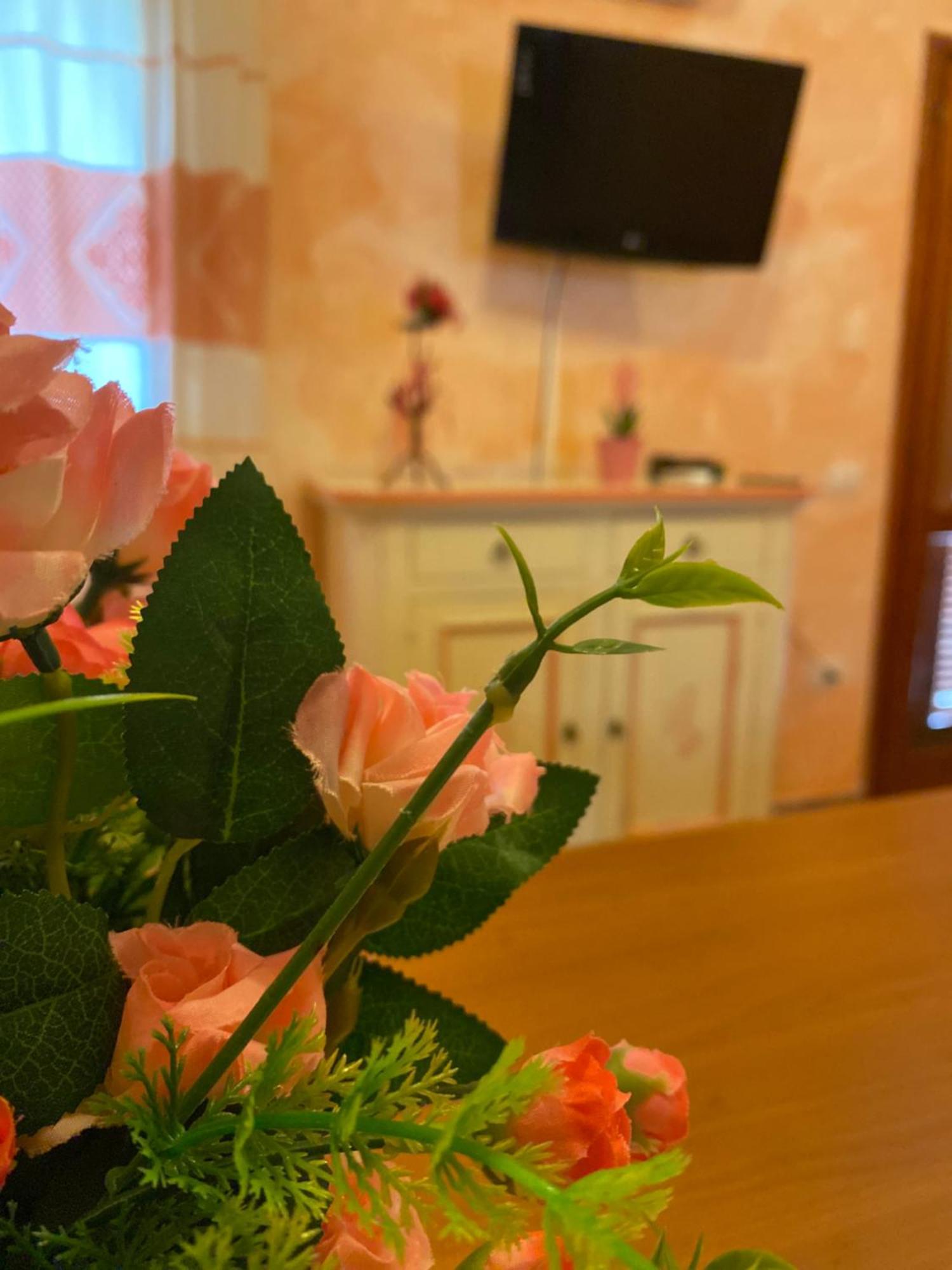 Case Vacanze Villa Rosita 산테오도로 외부 사진